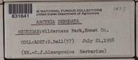 Image Associated With the Occurence
